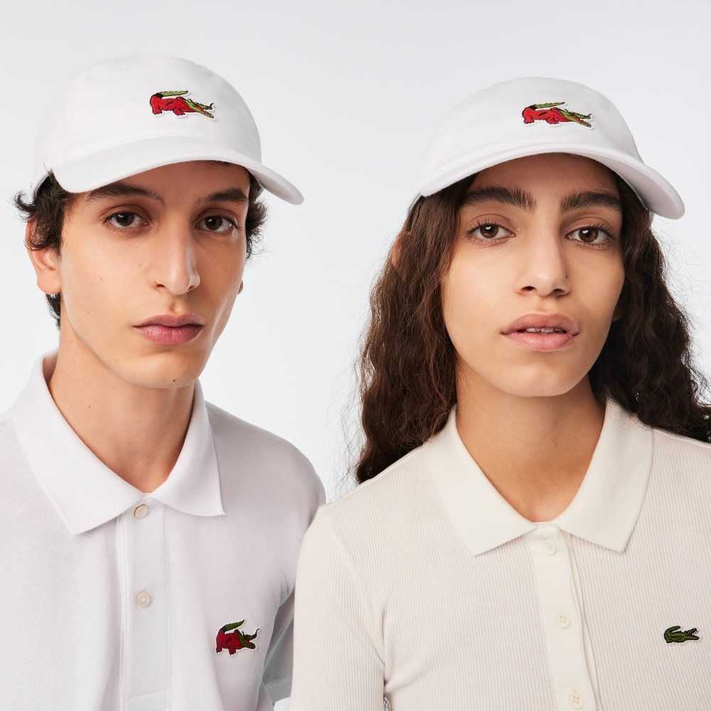 Lacoste Netflix Crocodile Monivärinen | GFB-450897