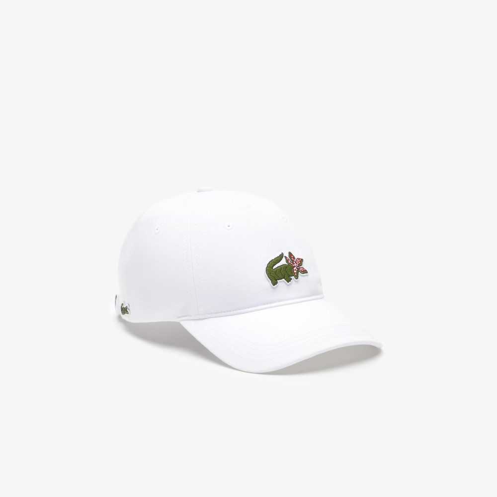 Lacoste Netflix Crocodile Monivärinen | KLU-501693