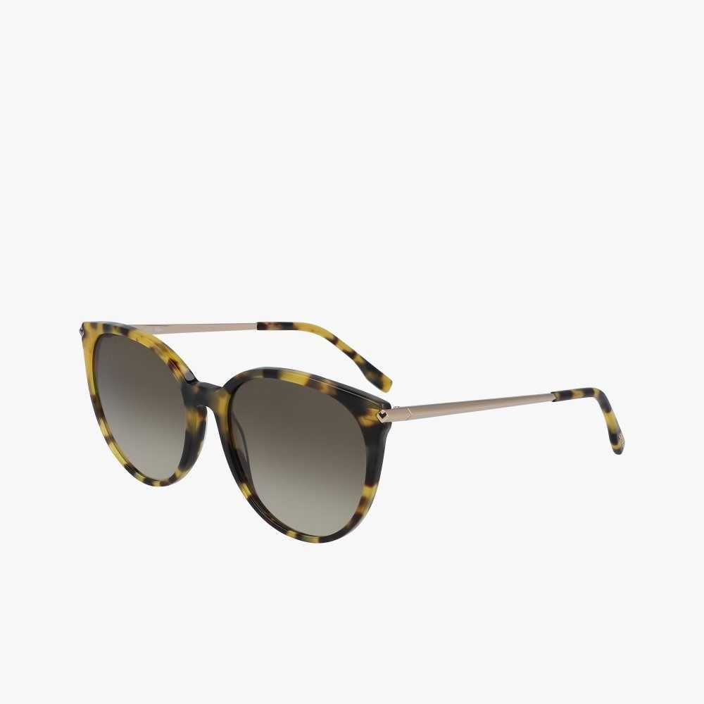 Lacoste Oval Acetate La Piquee Monivärinen | CZL-467850