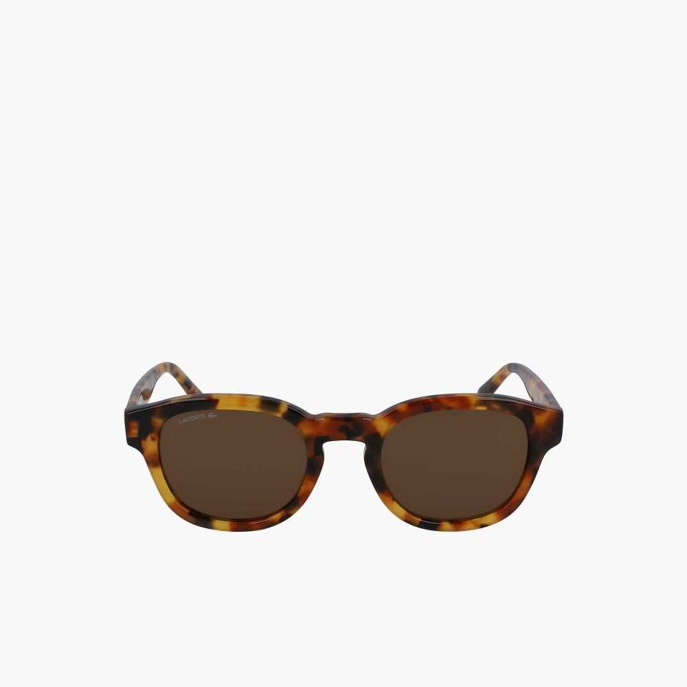 Lacoste Oval Bio Acetate National Geographic Monivärinen | DOP-341082