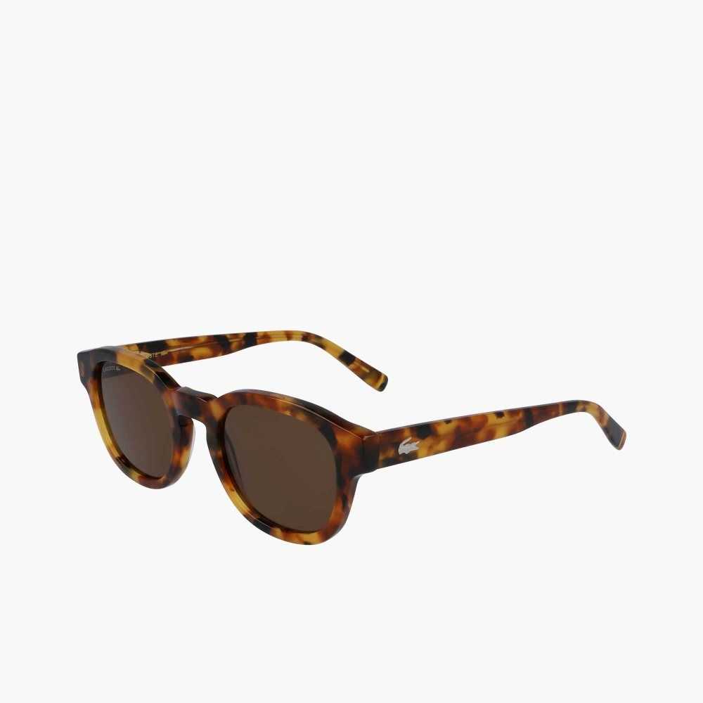 Lacoste Oval Bio Acetate National Geographic Monivärinen | DOP-341082