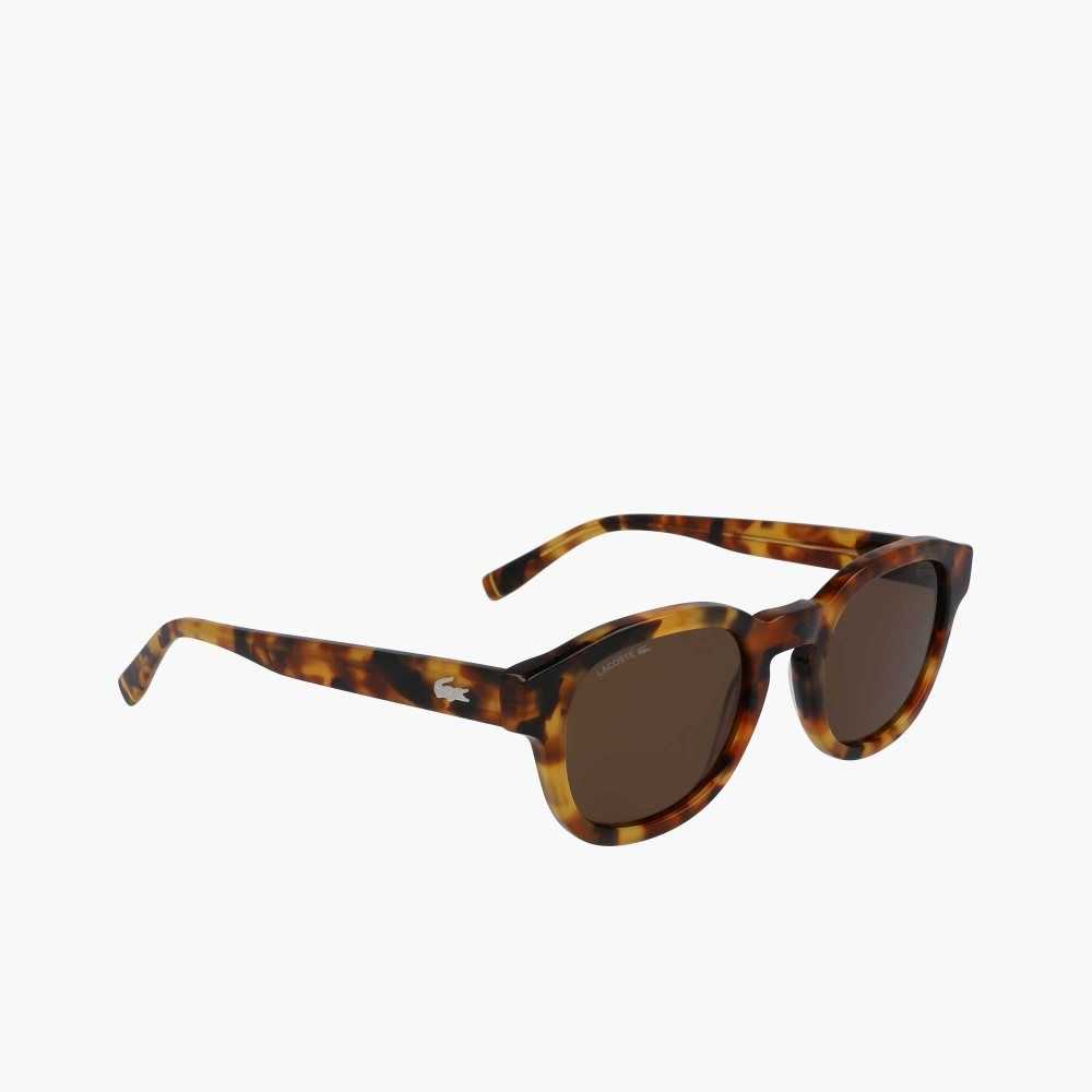 Lacoste Oval Bio Acetate National Geographic Monivärinen | DOP-341082