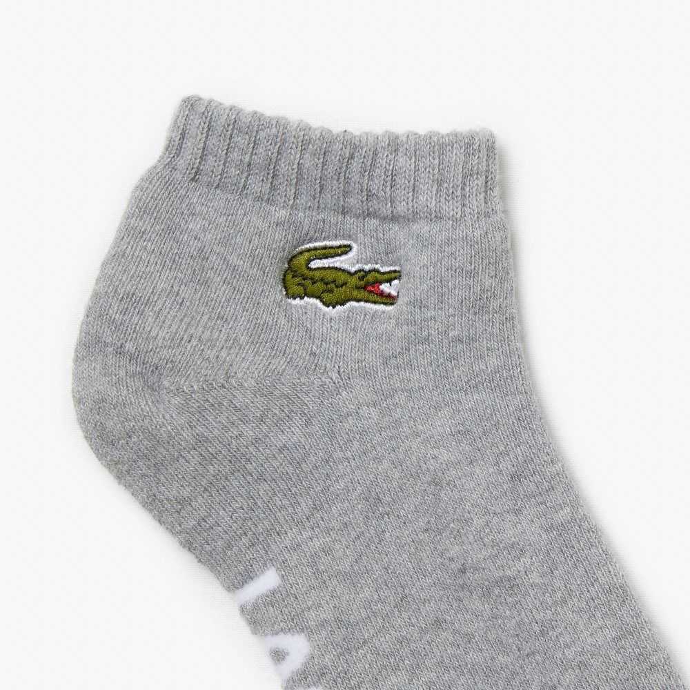 Lacoste SPORT Branded Stretch Puuvilla Low-Cut Harmaat Valkoinen | PCZ-916485