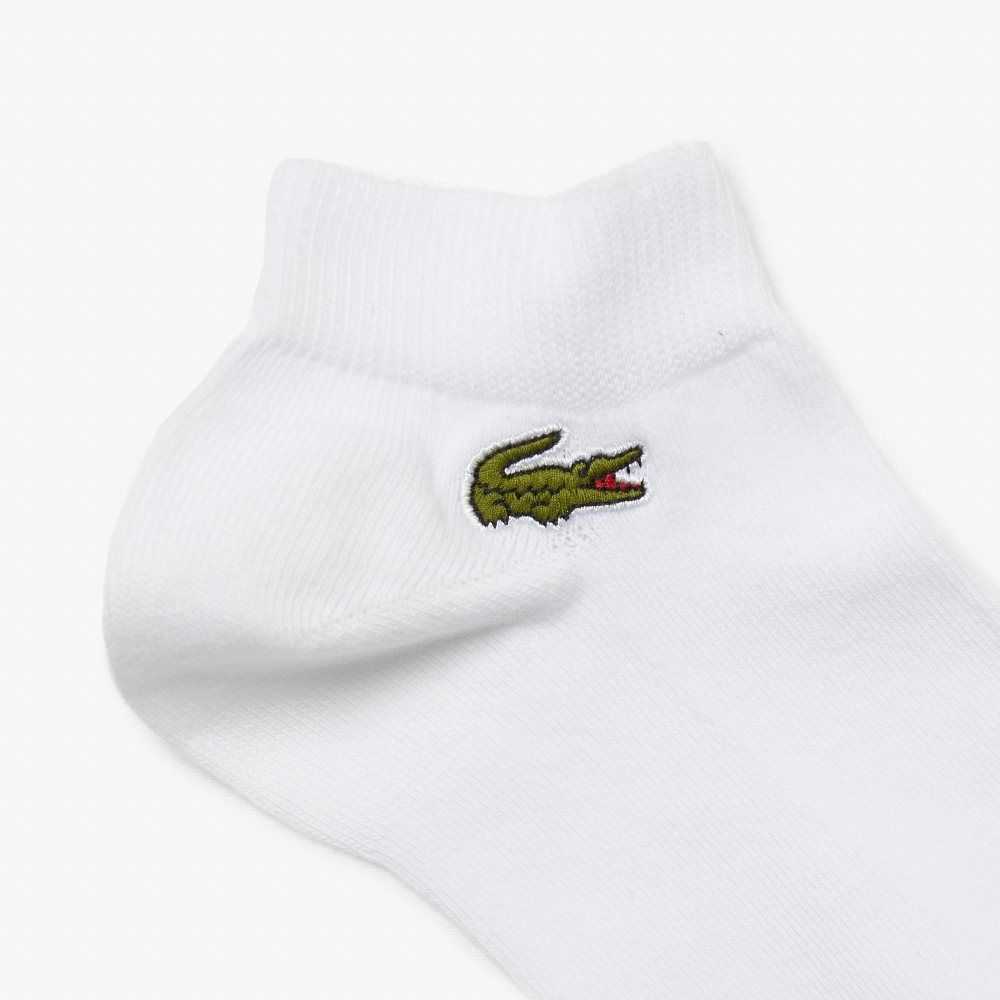 Lacoste SPORT Low-Cut 3-Pack Valkoinen | TNR-597438